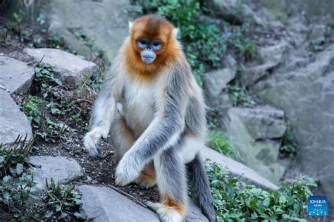 玉合公園怎麼樣？漫步其中，感受它的獨特魅力